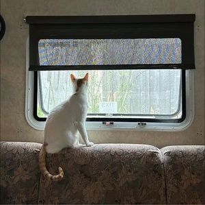 Meet your Posher, Sandra nicole